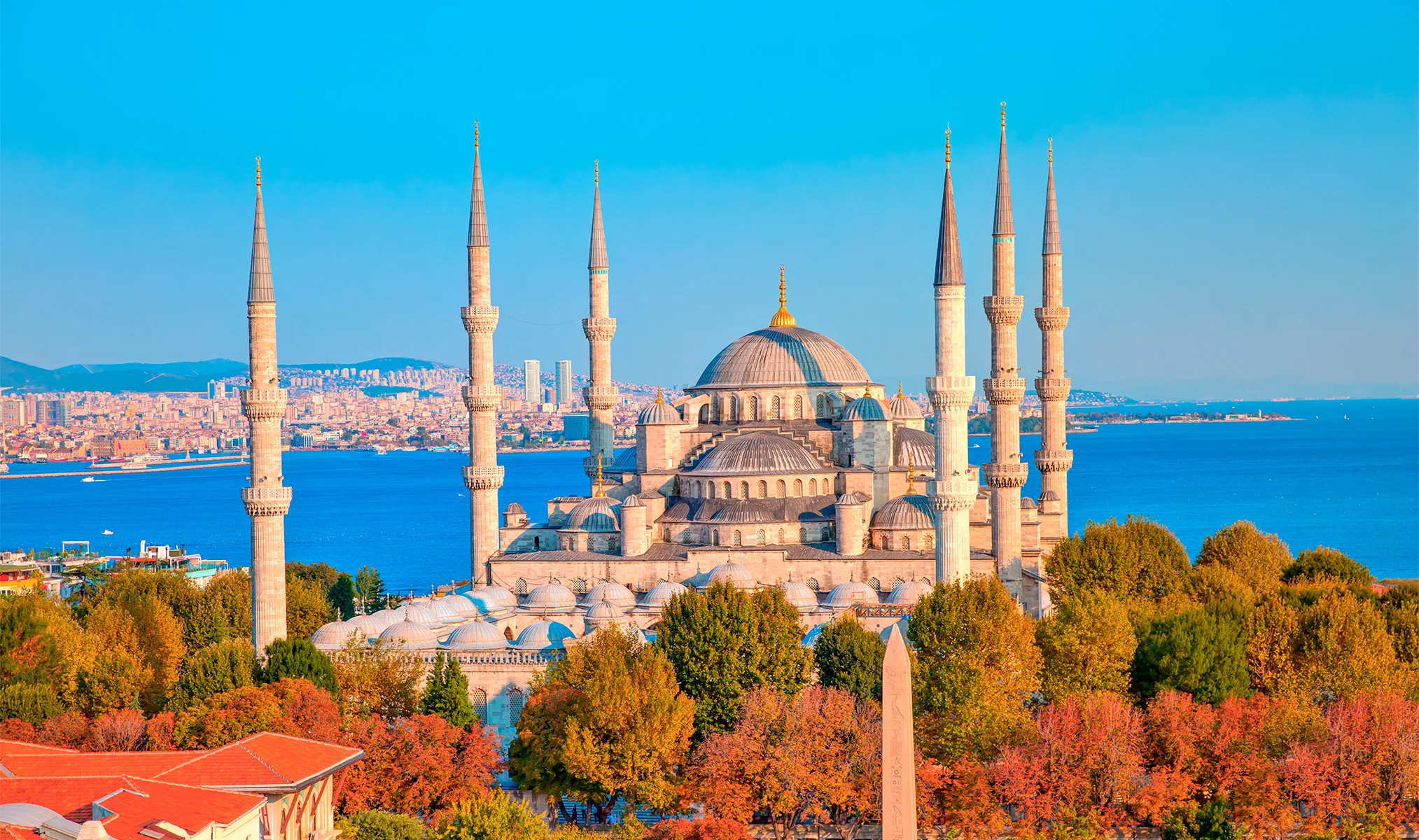 SAFIYE ALI FORUM: WOMEN, SCIENCE & SOCIETY