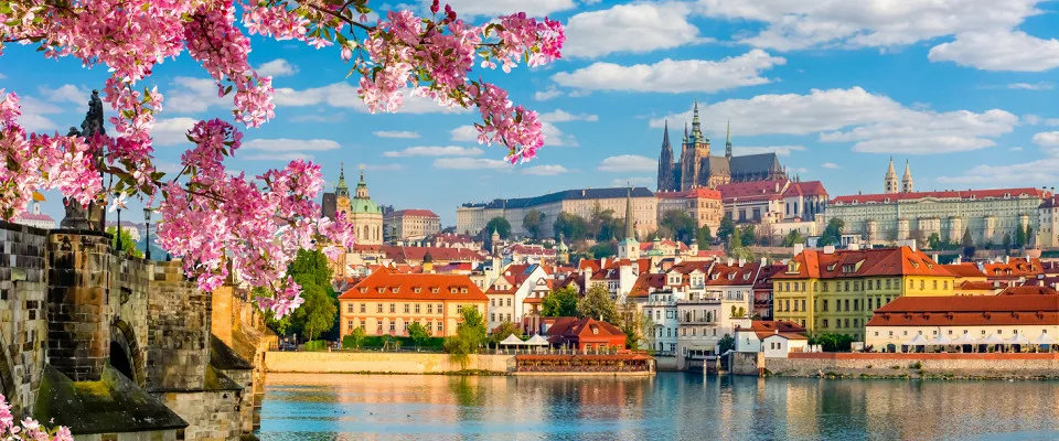 TRENDS IN SCIENCE, TECHNOLOGY AND CULTURE IN THE XXI CENTURY